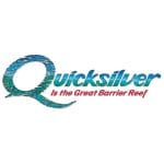 Quicksilver Group logo