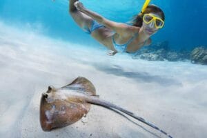 snorkel-port-douglas-divers-den_orig